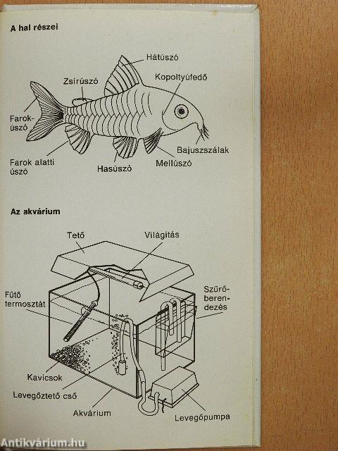 Akváriumi halak