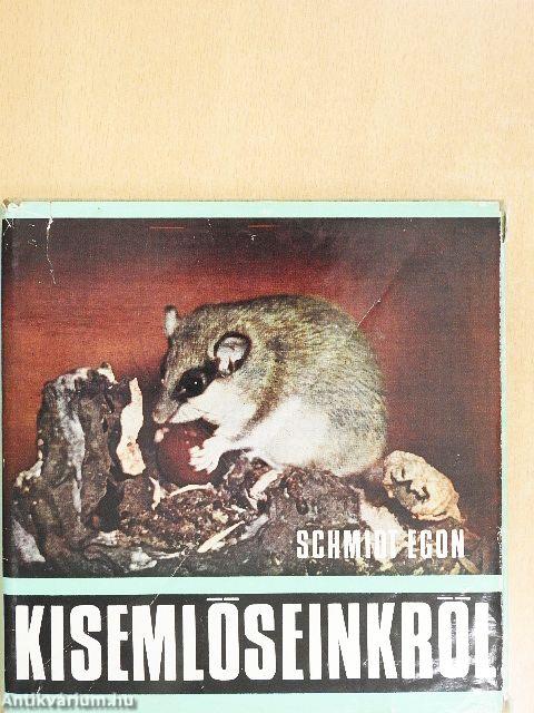 Kisemlőseinkről