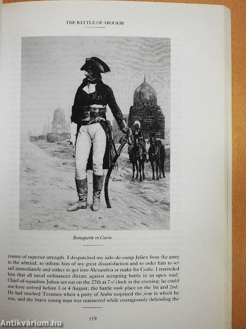 Napoleon on Napoleon