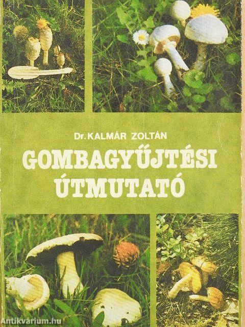 Gombagyűjtési útmutató