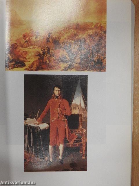 Napoleon on Napoleon