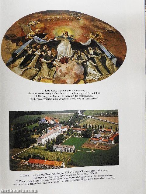 Ciszterciek