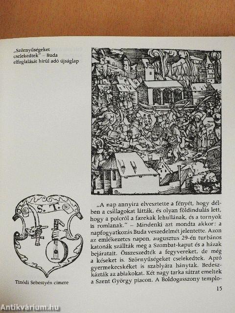 Buda visszavívása, 1686