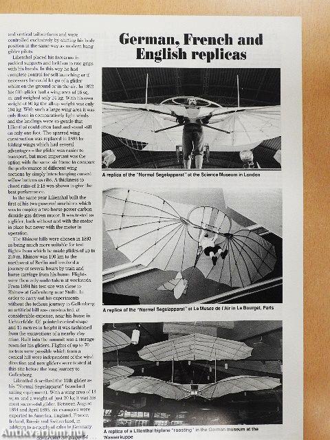 Wingspan June 1991