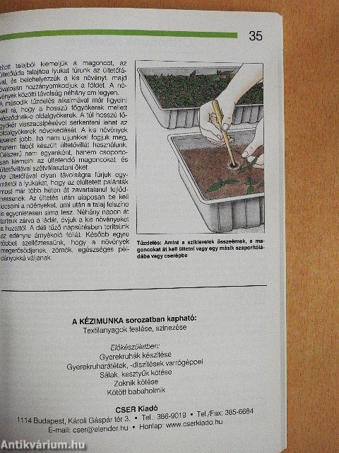 Hálás szobanövények