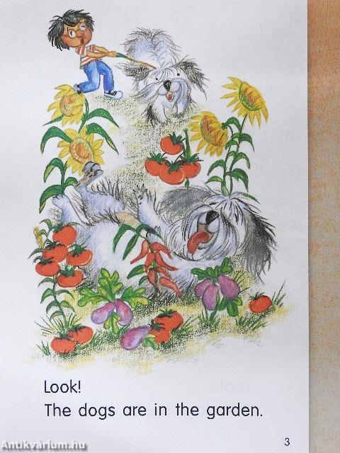 Look!