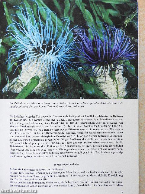 Exotarium