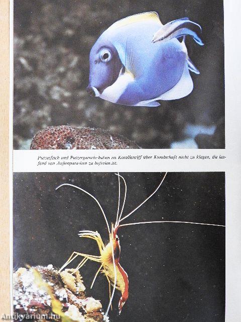 Exotarium