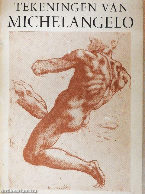 Tekeningen van Michelangelo
