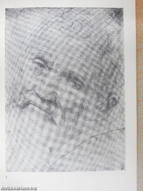 Tekeningen van Michelangelo