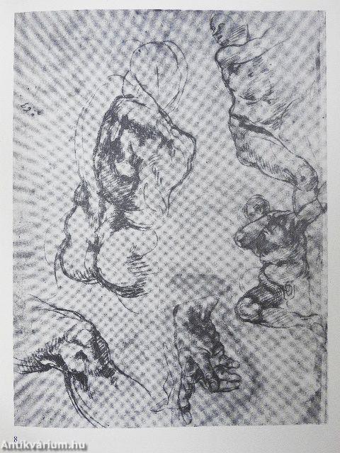 Tekeningen van Michelangelo