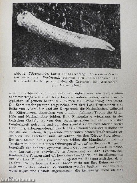 Die Metamorphose der Insekten