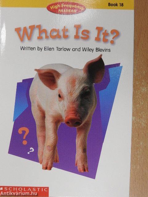 What Is It?