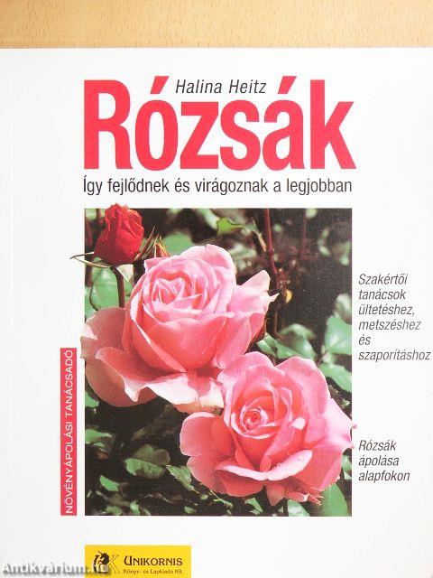 Rózsák