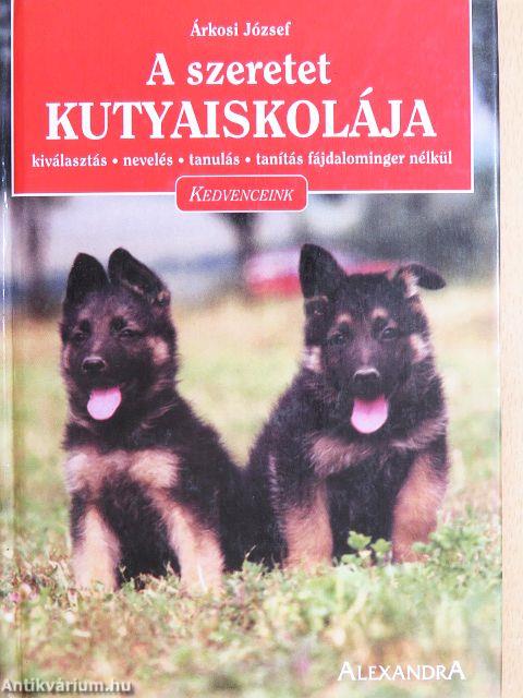 A szeretet kutyaiskolája