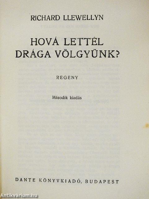 Hová lettél drága völgyünk?