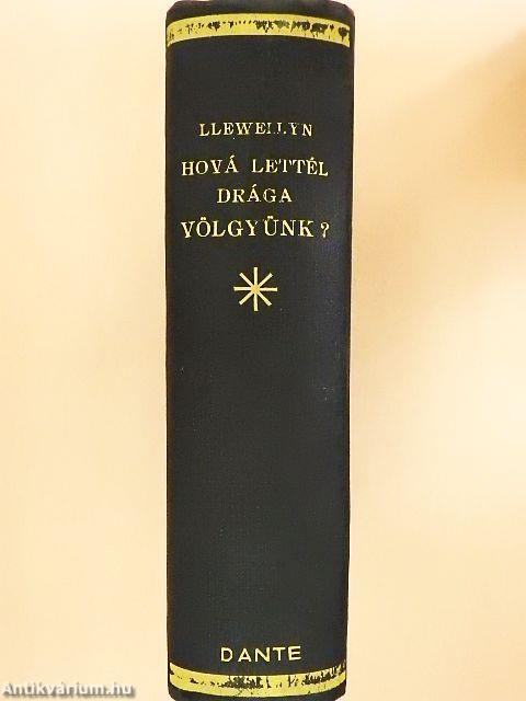 Hová lettél drága völgyünk?