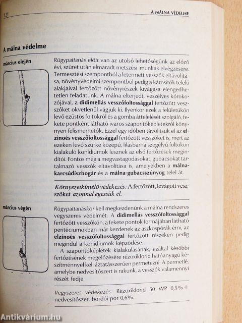 Kertészek növényvédelmi naptára