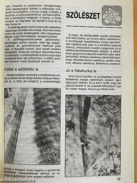 Kerti Kalendárium 1989. november