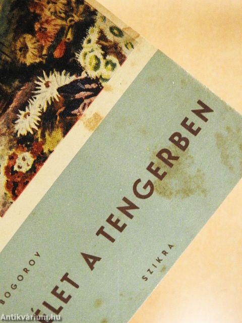 Élet a tengerben