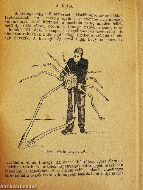 Élet a tengerben