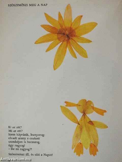 Képtelenkönyv