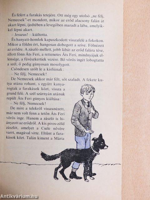 A Pál utcai fiúk