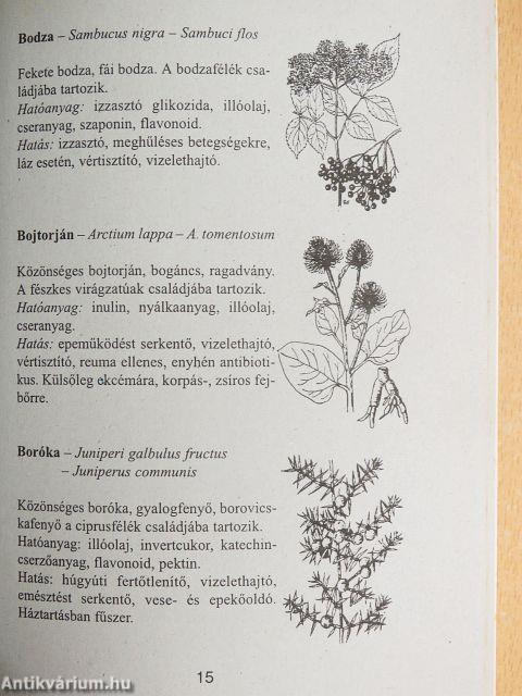 Gyógynövények és gyógyteák