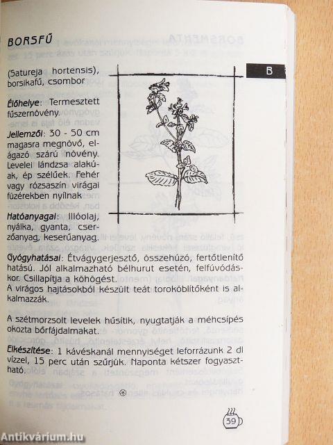 Gyógynövény ABC