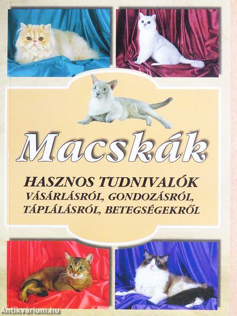 Macskák
