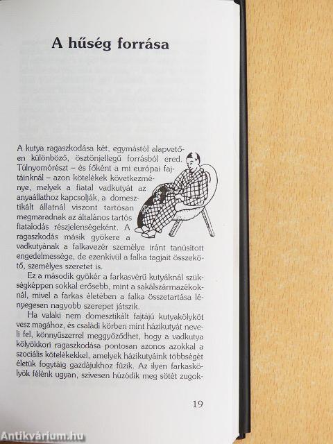 Ember és kutya