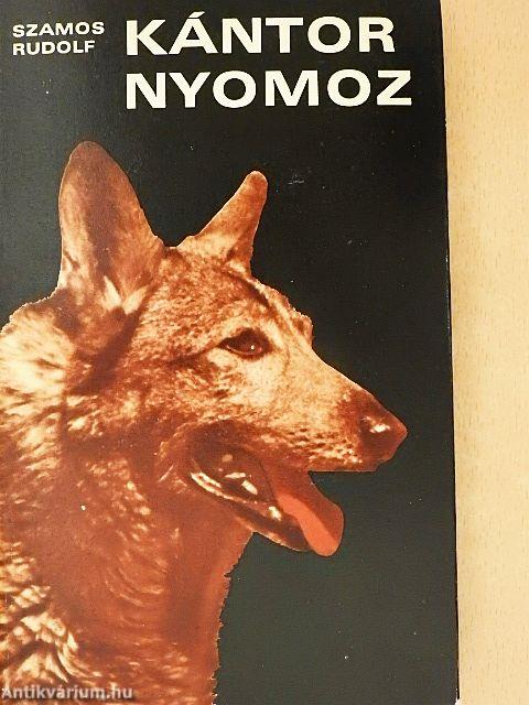 Kántor nyomoz