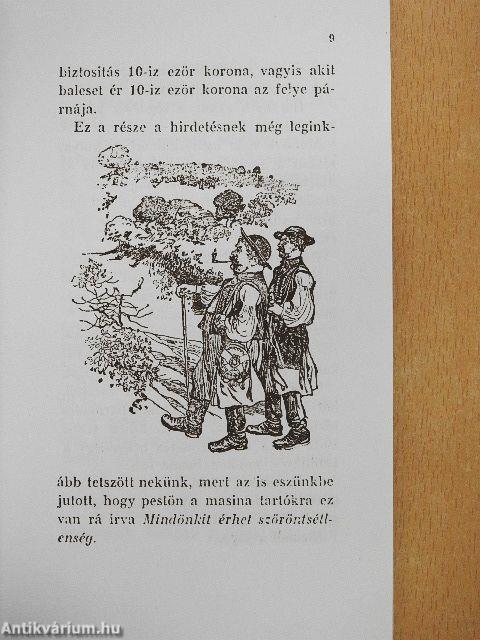 Bojgás az világba
