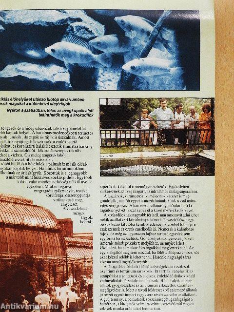 Akvárium és terrárium 1989/1.