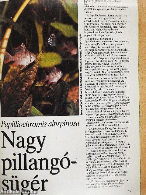 Akvárium és terrárium 1989/1.