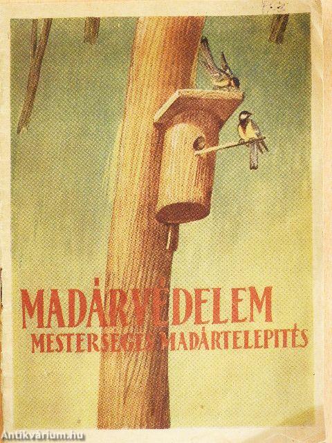 Madárvédelem