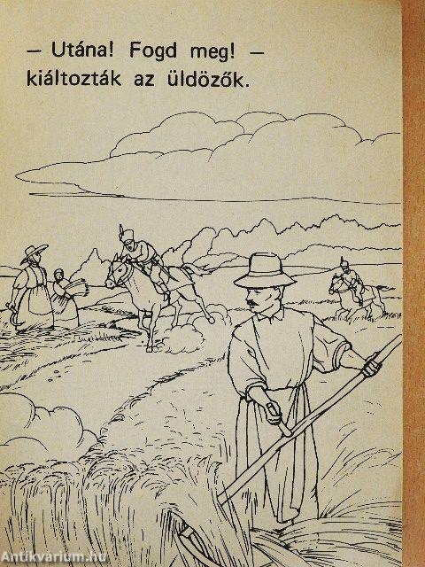 Az árvízi hajós