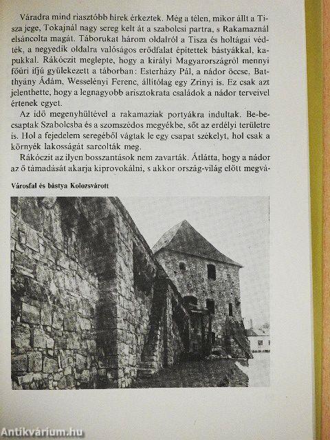 A "Tündérkert" romlása