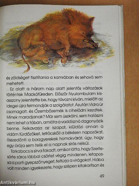 Minibocs