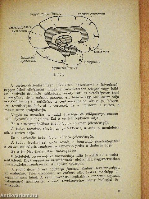 Az eszméletlen beteg
