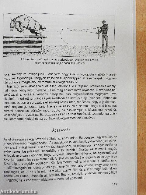 Az elrontott ló utóidomítása