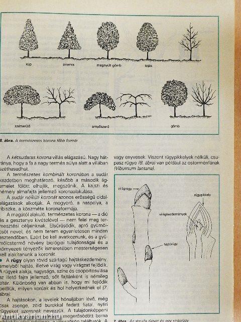 A metszés ábécéje