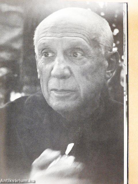 Barátom, Picasso
