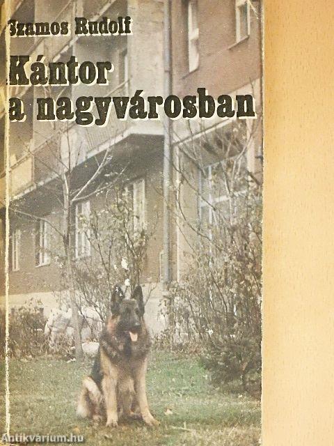 Kántor a nagyvárosban