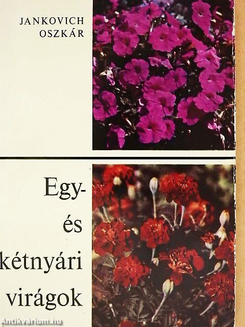 Egy- és kétnyári virágok