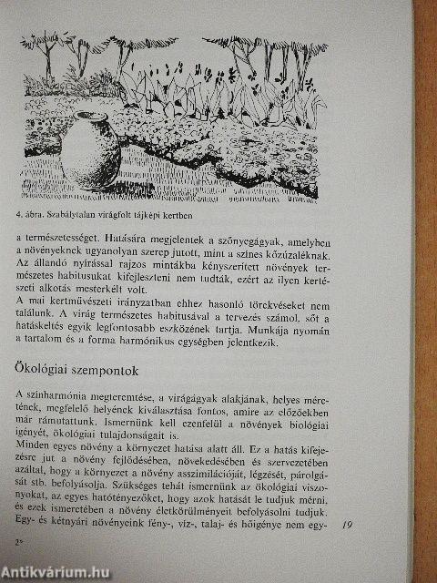 Egy- és kétnyári virágok
