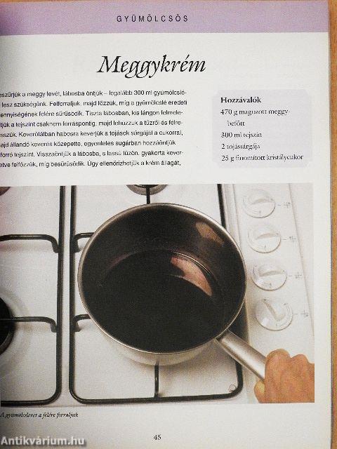 Fagylaltok könyve