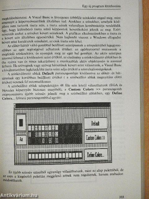 Visual Basic for Windows