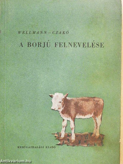 A borjú felnevelése