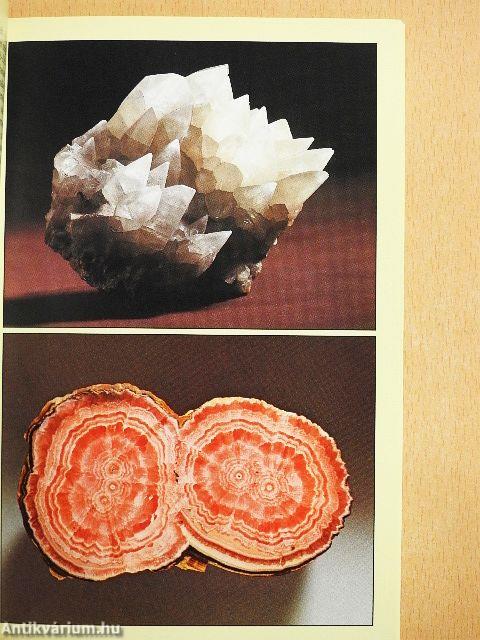 Mineralien Gesteine